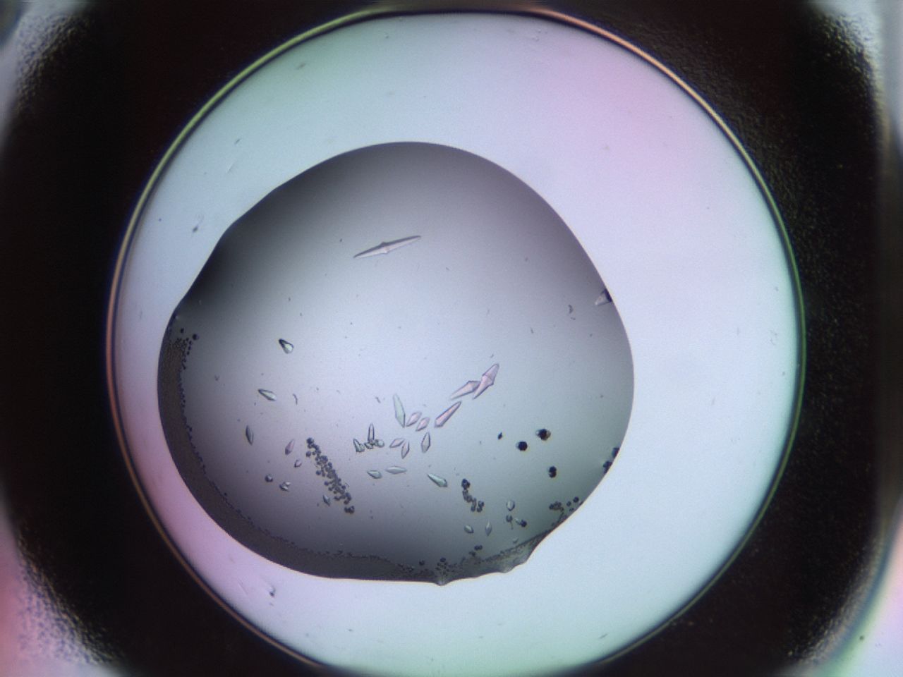 02kh_A9_ImagerDefaults_9.jpg