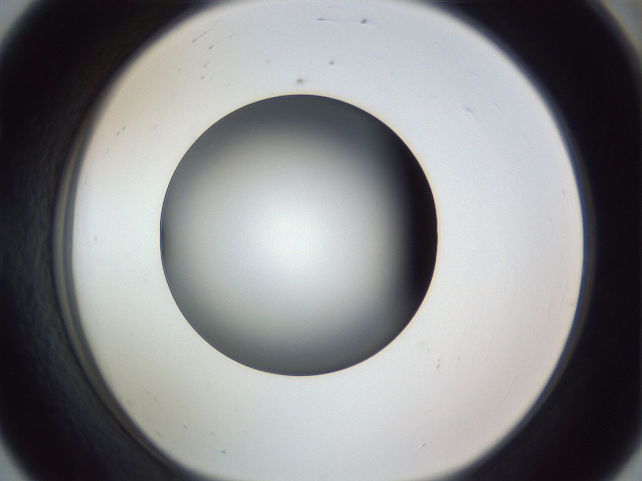 folderID345_plateID1345_batchID4696_wellNum56_profileID1_d1_r81046_ef.jpg