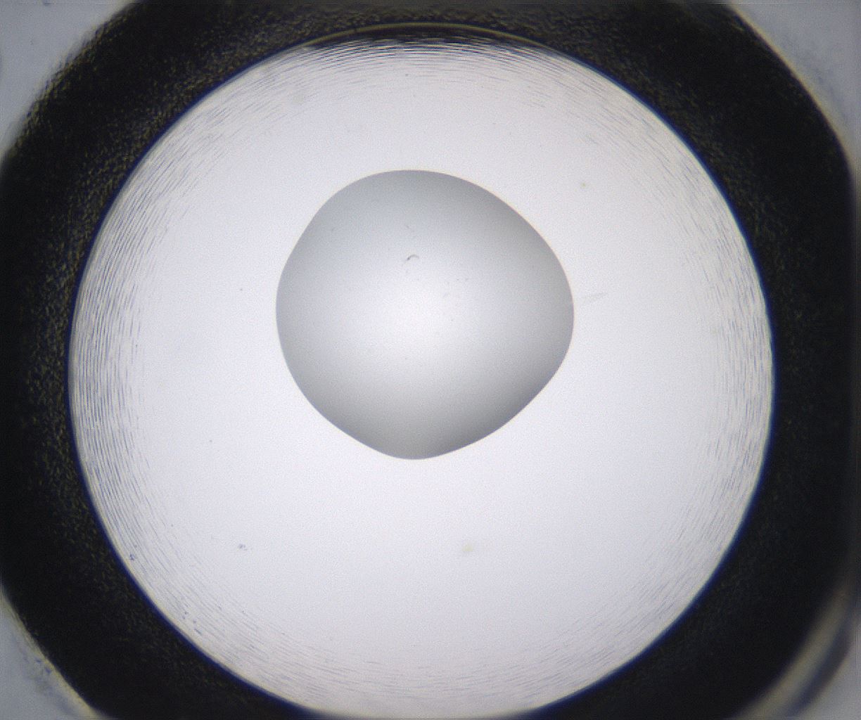 folderID344_plateID2344_batchID11058_wellNum86_profileID1_d2_r165934_ef.jpg