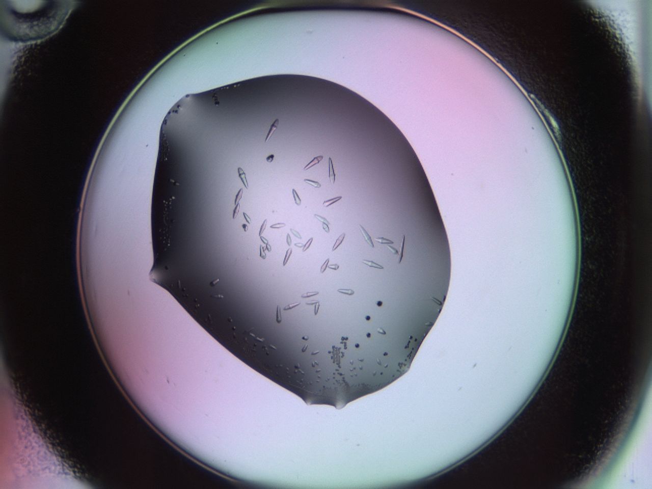 02kh_A10_ImagerDefaults_9.jpg