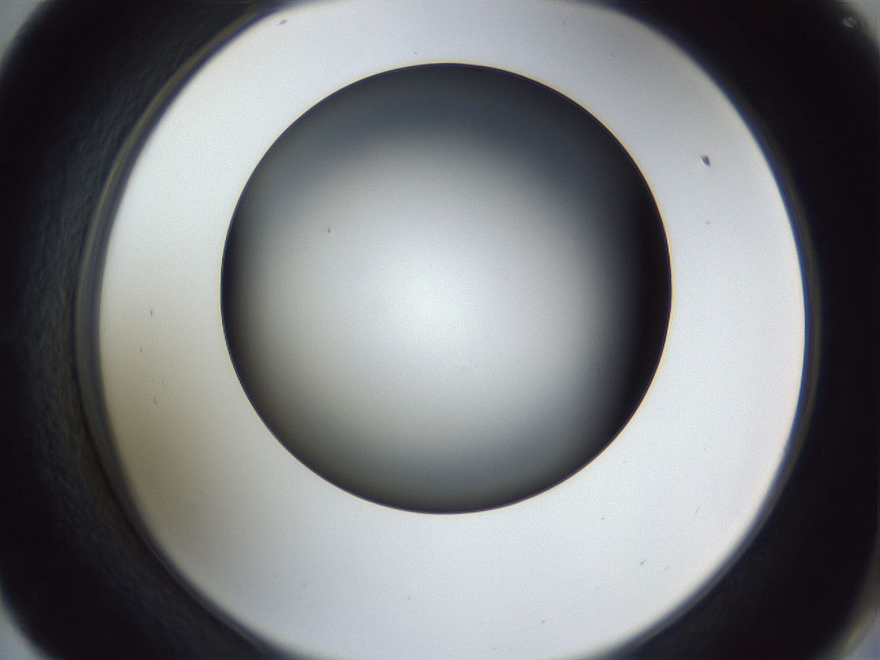 folderID345_plateID1345_batchID4696_wellNum57_profileID1_d2_r81049_ef.jpg
