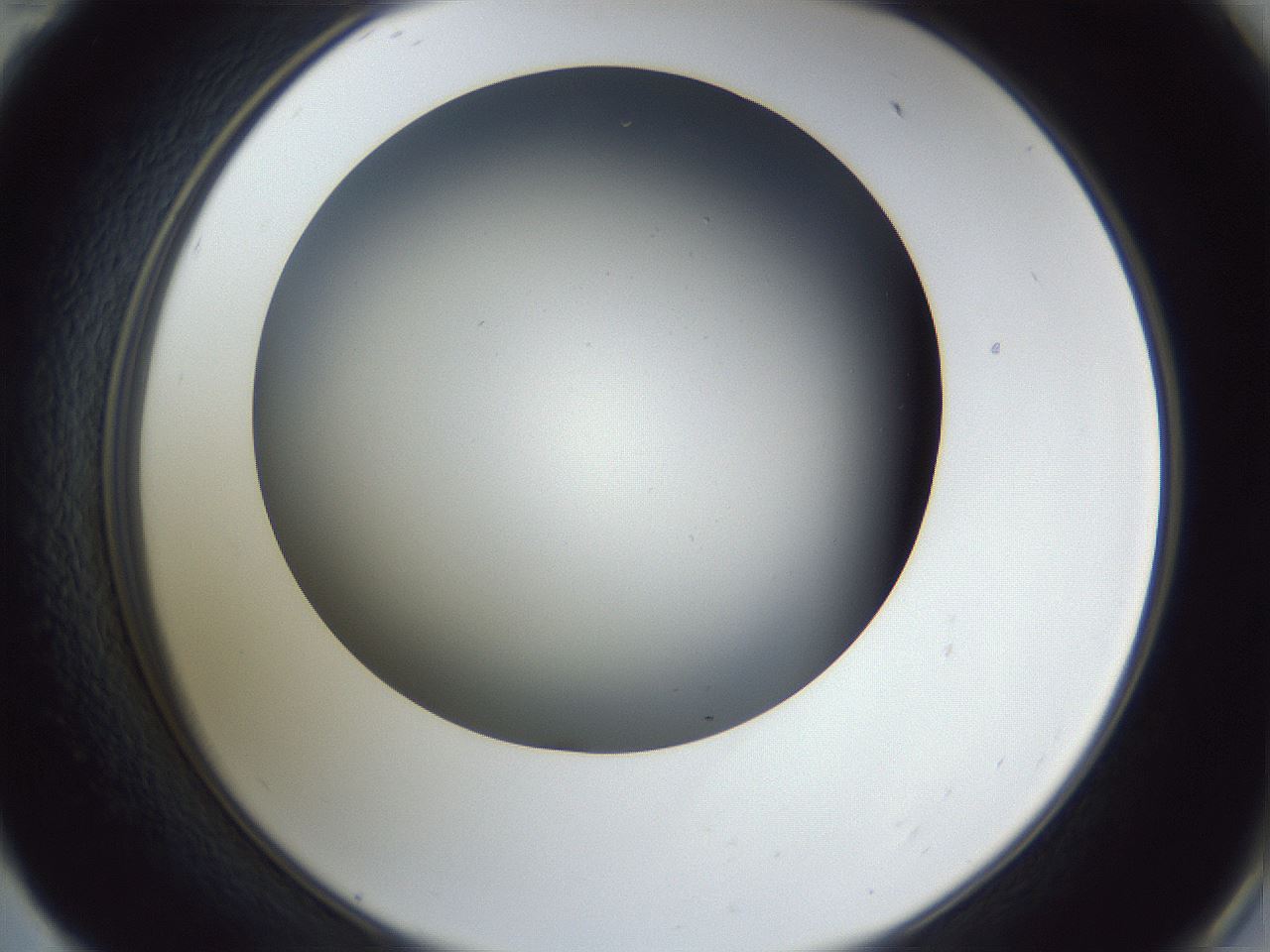 folderID345_plateID1345_batchID4696_wellNum59_profileID1_d2_r81053_ef.jpg