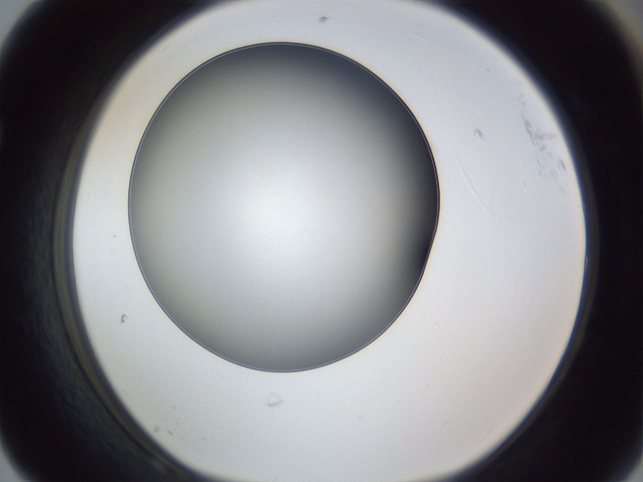 folderID345_plateID1345_batchID4696_wellNum68_profileID1_d1_r81070_ef.jpg