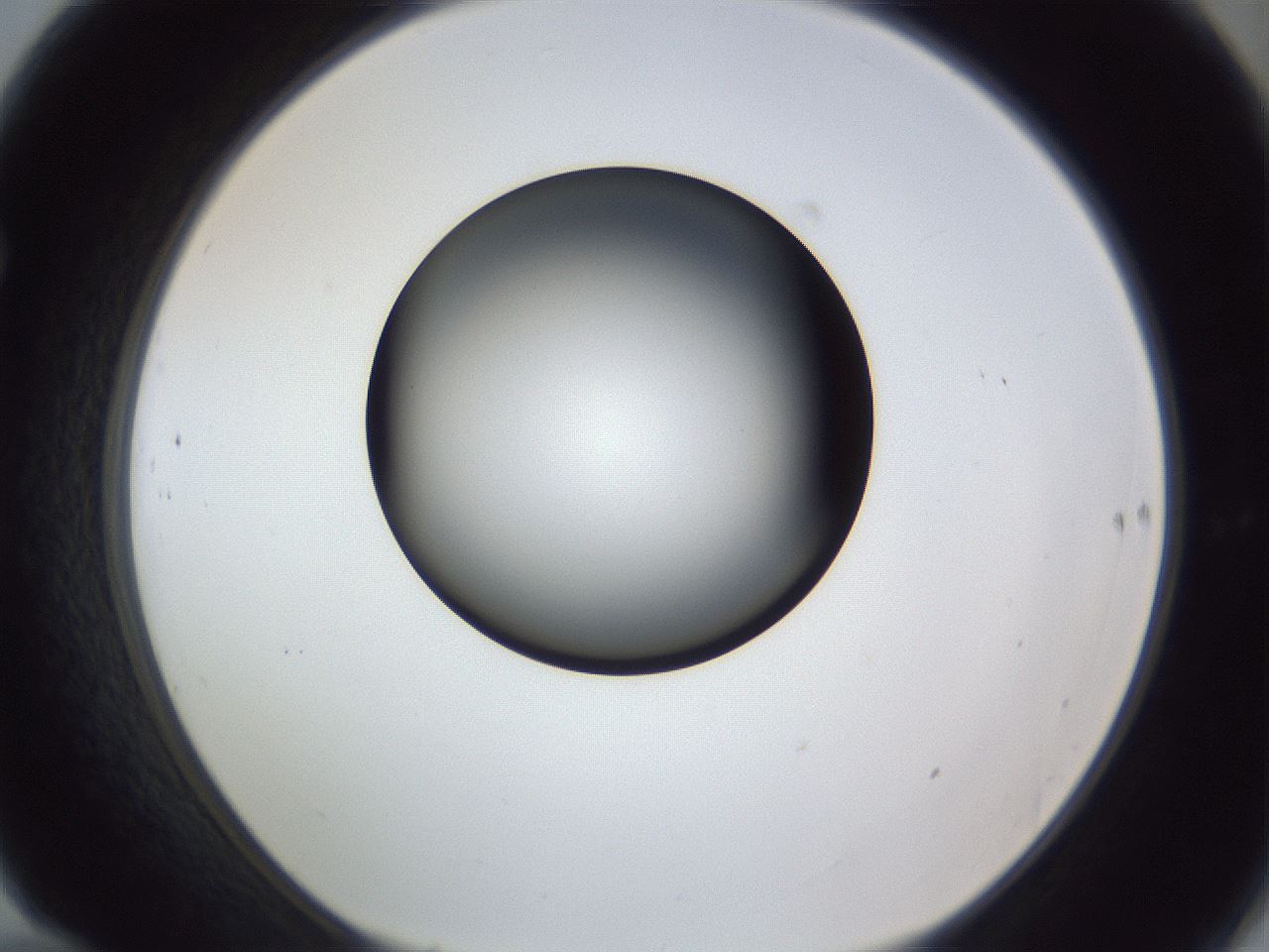 folderID345_plateID1345_batchID4696_wellNum70_profileID1_d1_r81074_ef.jpg