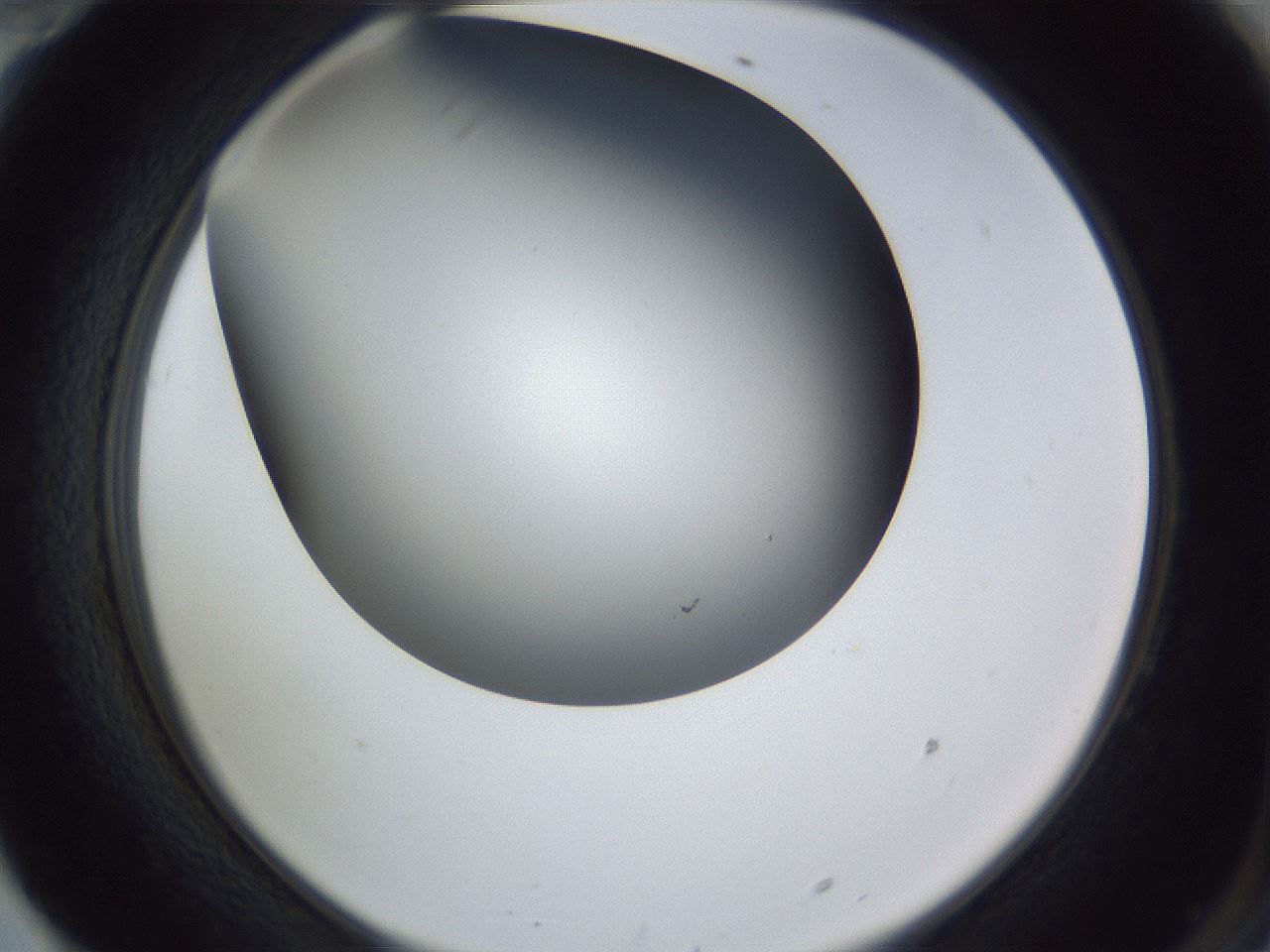 folderID345_plateID1345_batchID4696_wellNum70_profileID1_d2_r81075_ef.jpg