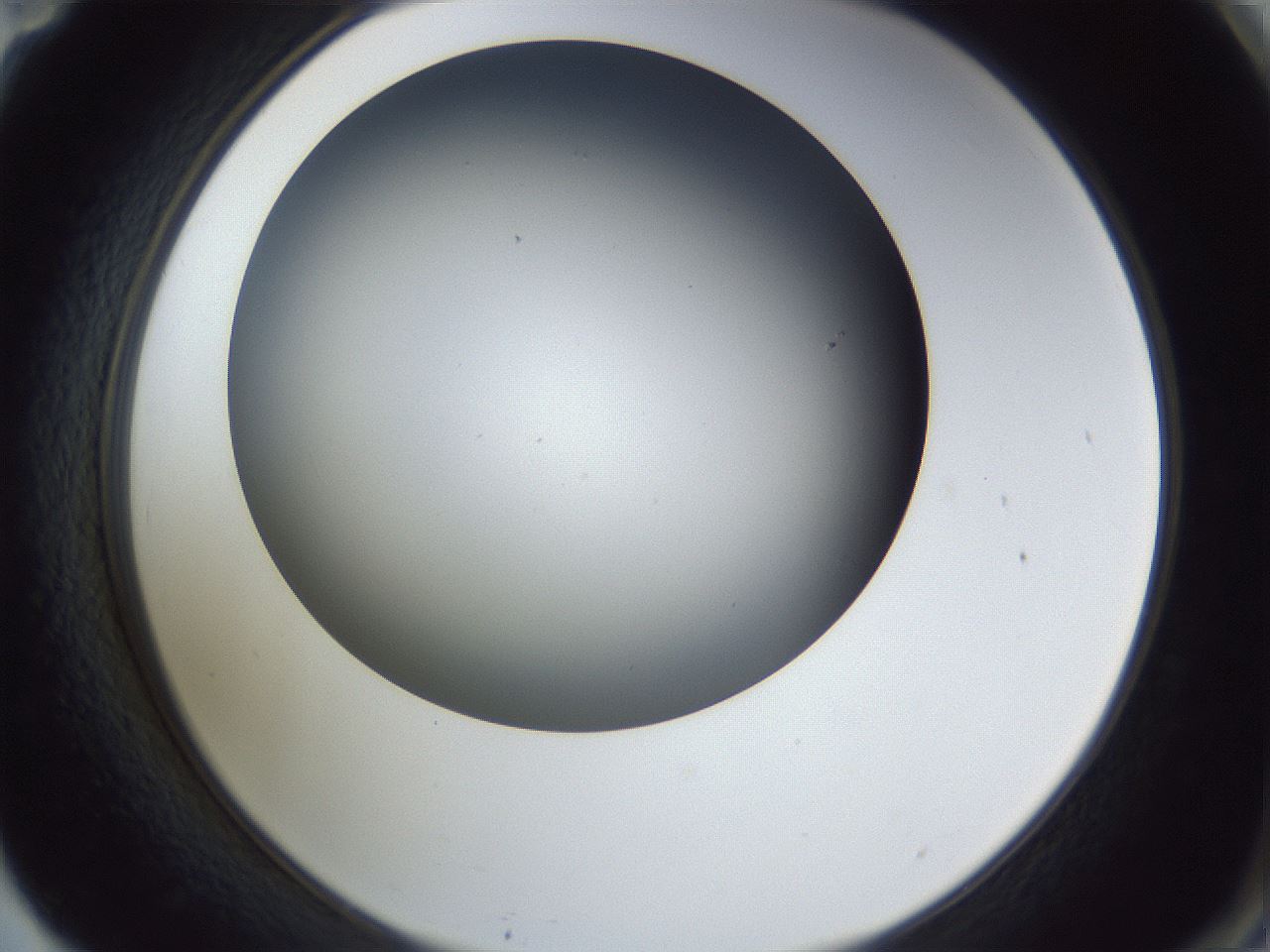 folderID345_plateID1345_batchID4696_wellNum71_profileID1_d2_r81077_ef.jpg
