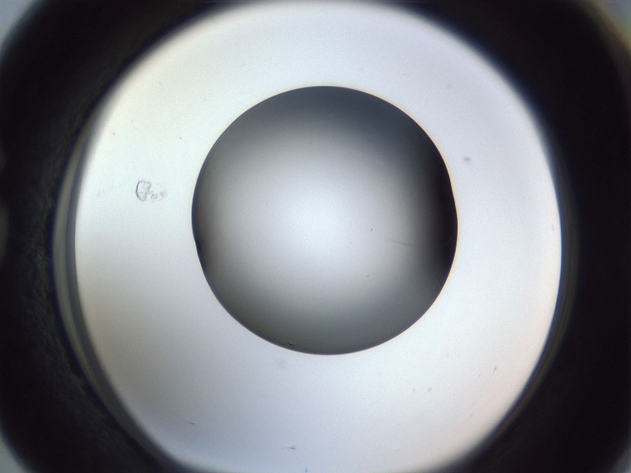 folderID345_plateID1345_batchID4696_wellNum76_profileID1_d1_r81086_ef.jpg