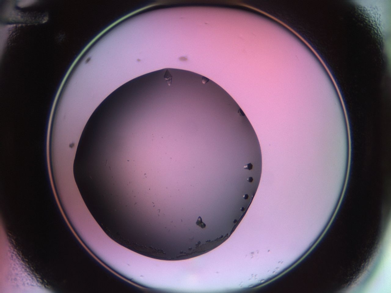 02kh_A12_ImagerDefaults_9.jpg
