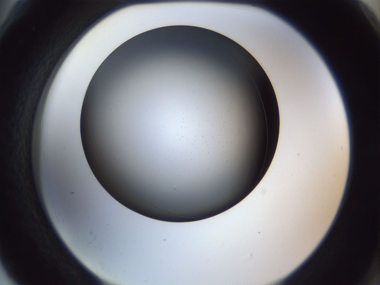 folderID345_plateID1345_batchID4696_wellNum78_profileID1_d2_r81091_ef.jpg