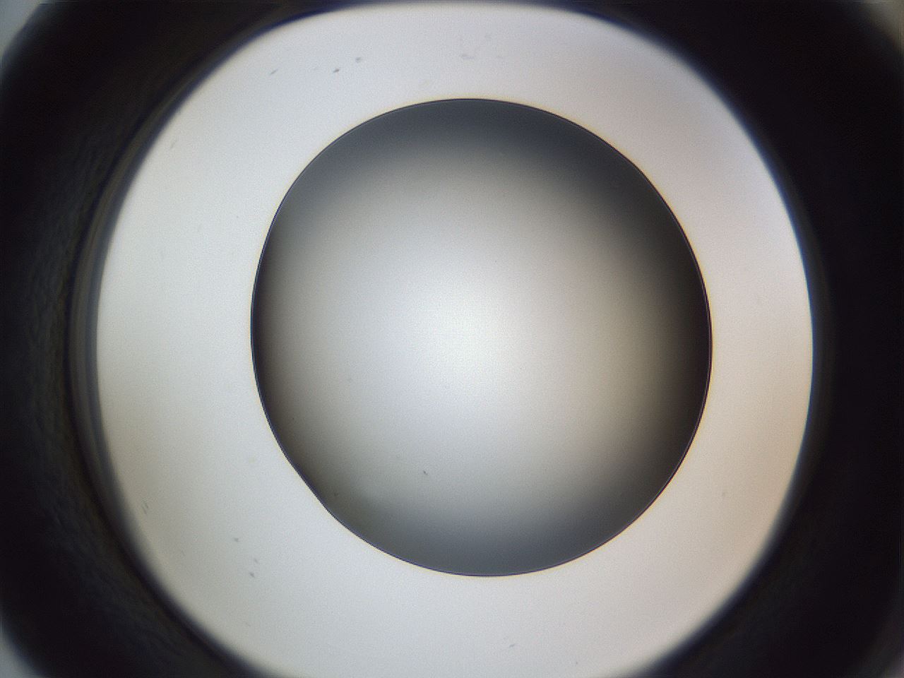 folderID345_plateID1345_batchID4696_wellNum80_profileID1_d2_r81095_ef.jpg