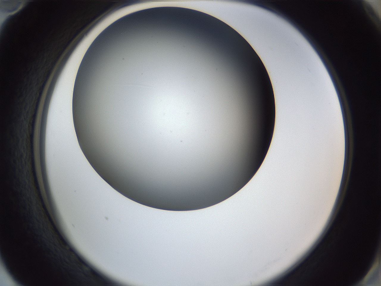 folderID345_plateID1345_batchID4696_wellNum82_profileID1_d2_r81099_ef.jpg