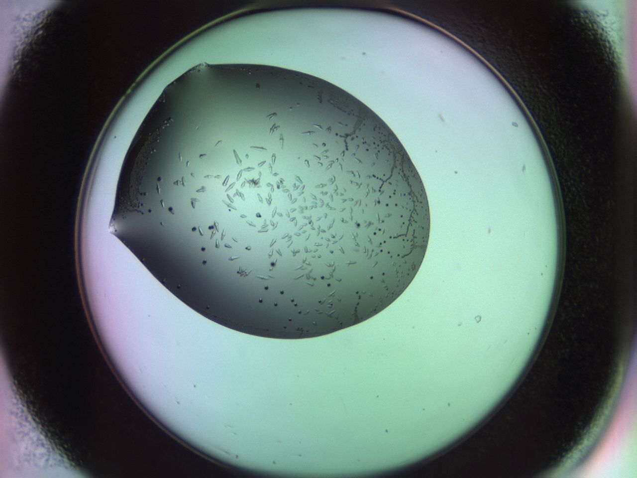 02kh_B7_ImagerDefaults_9.jpg