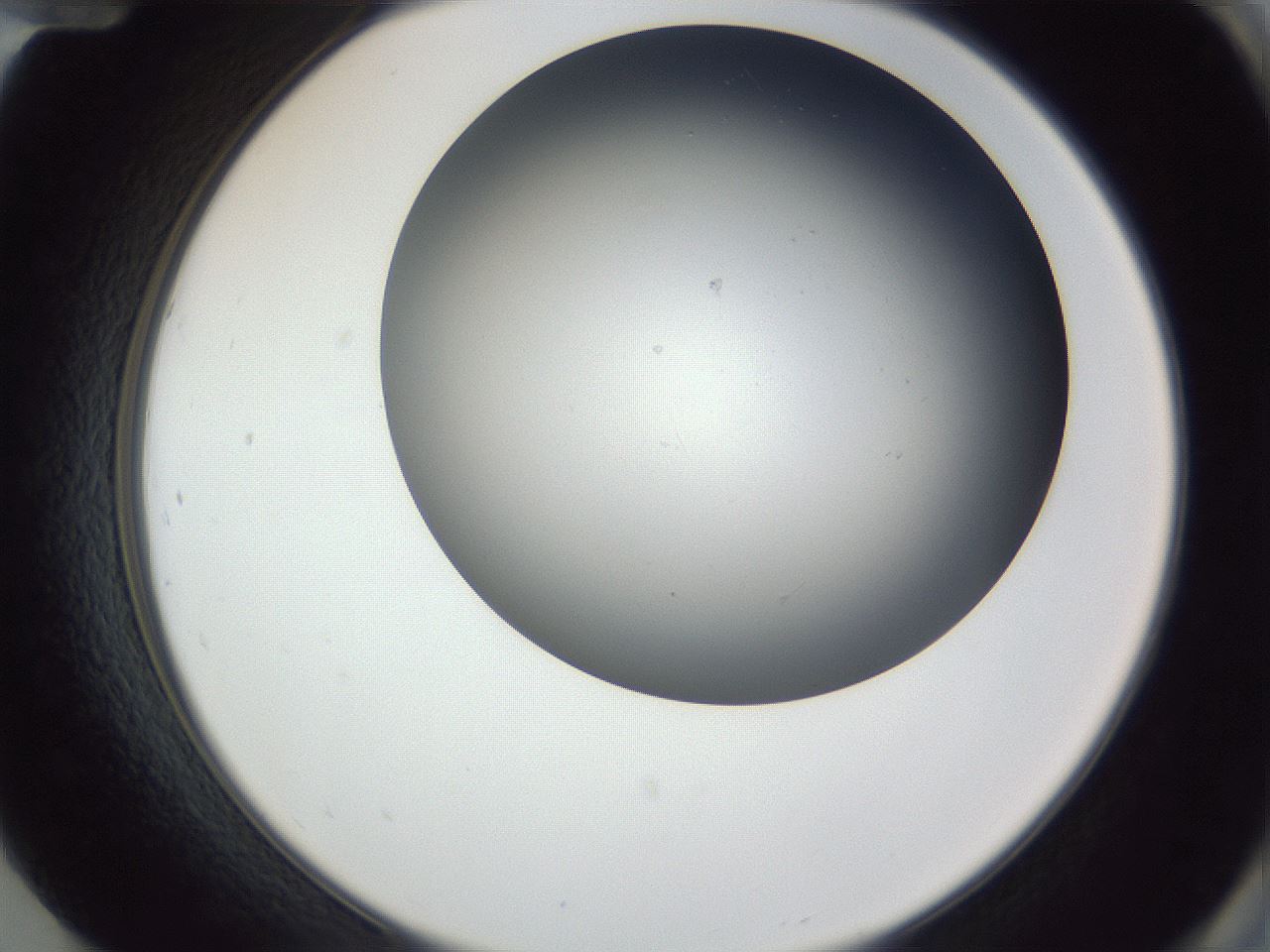folderID345_plateID1345_batchID4696_wellNum84_profileID1_d2_r81103_ef.jpg