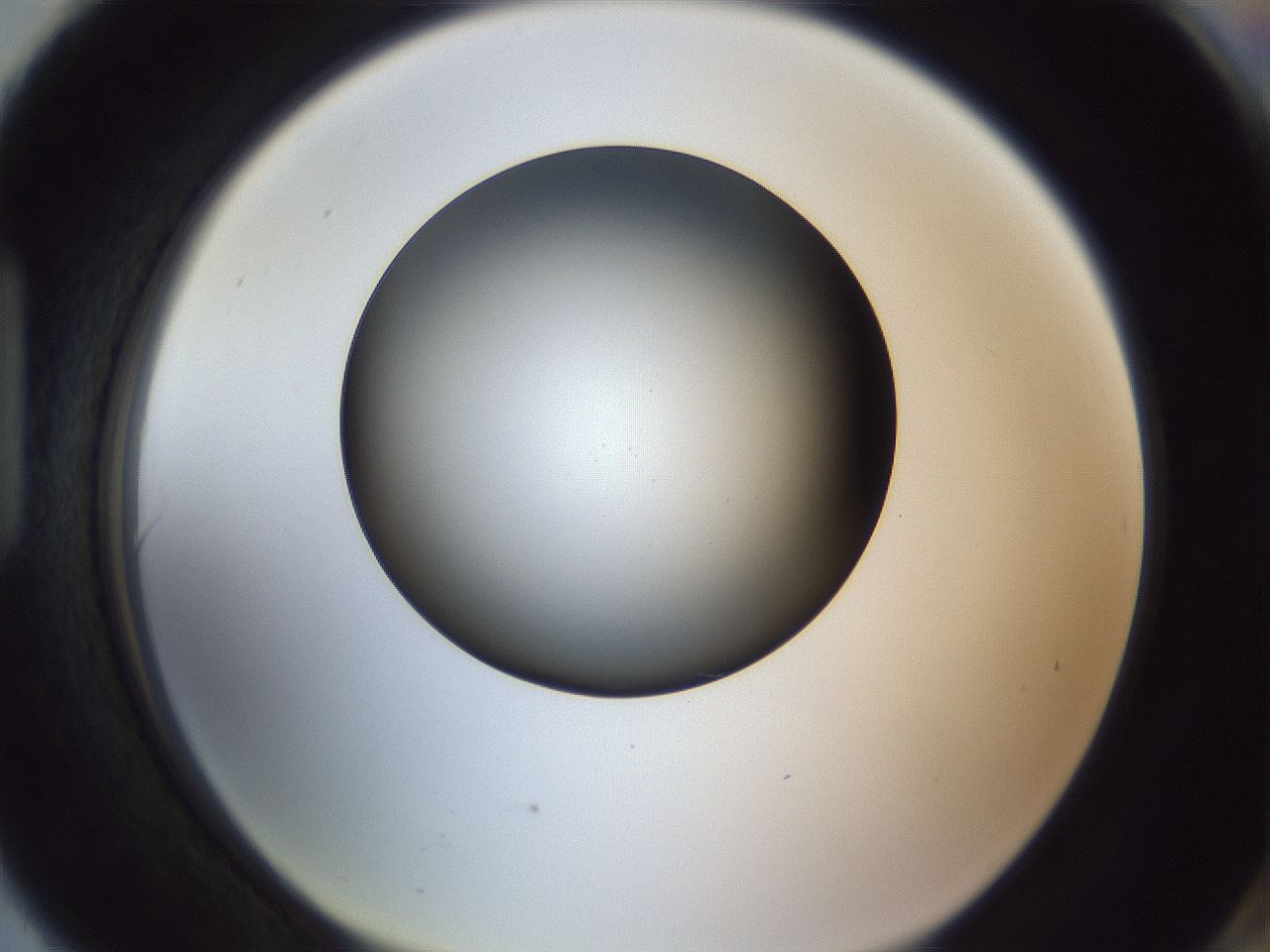 folderID345_plateID1345_batchID4696_wellNum90_profileID1_d1_r81114_ef.jpg