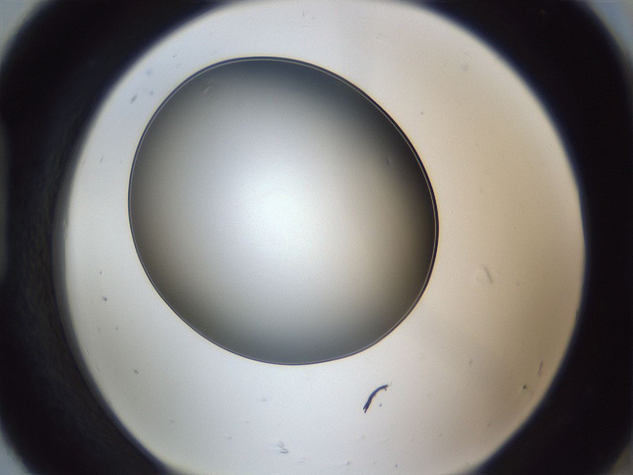 folderID345_plateID1345_batchID4696_wellNum92_profileID1_d1_r81118_ef.jpg