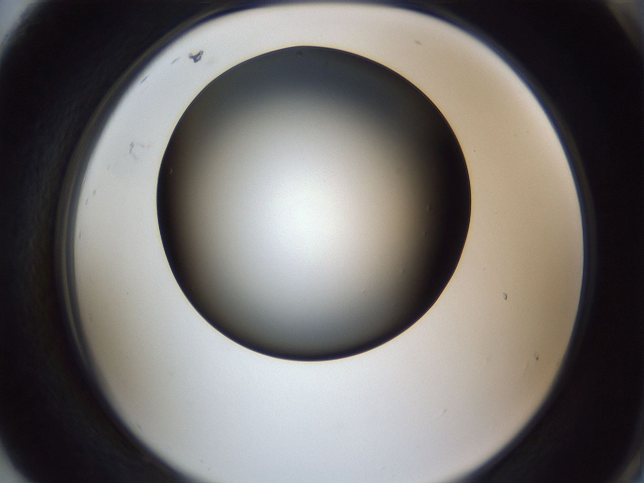 folderID345_plateID1345_batchID4696_wellNum92_profileID1_d2_r81119_ef.jpg