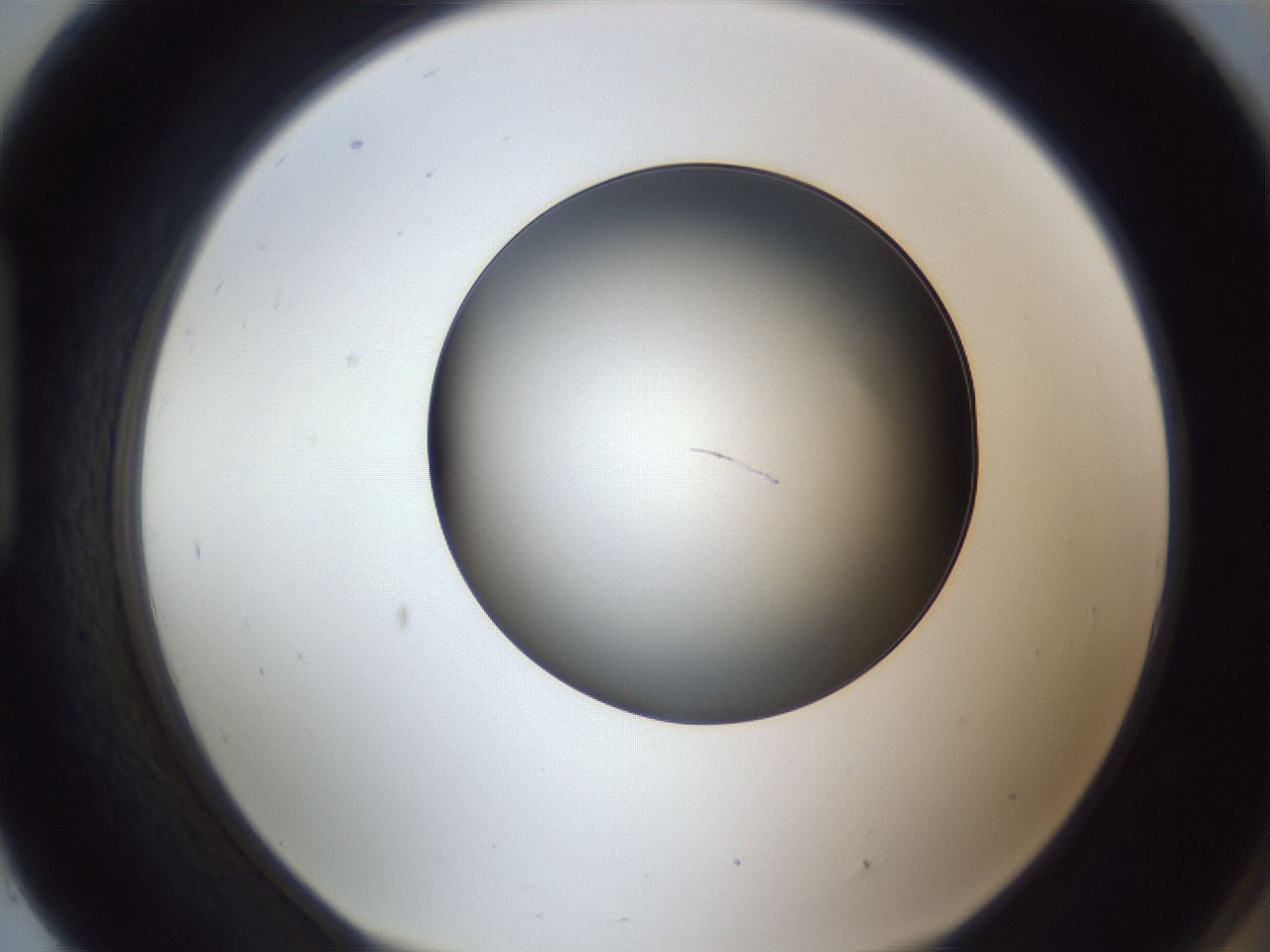 folderID345_plateID1345_batchID4696_wellNum93_profileID1_d1_r81120_ef.jpg
