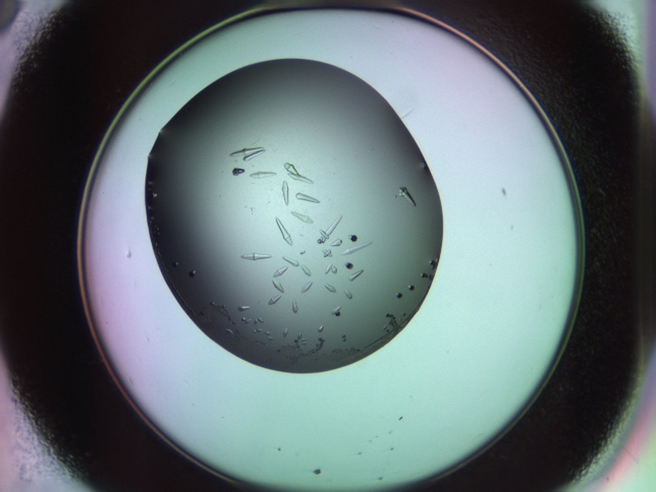 02kh_B8_ImagerDefaults_9.jpg