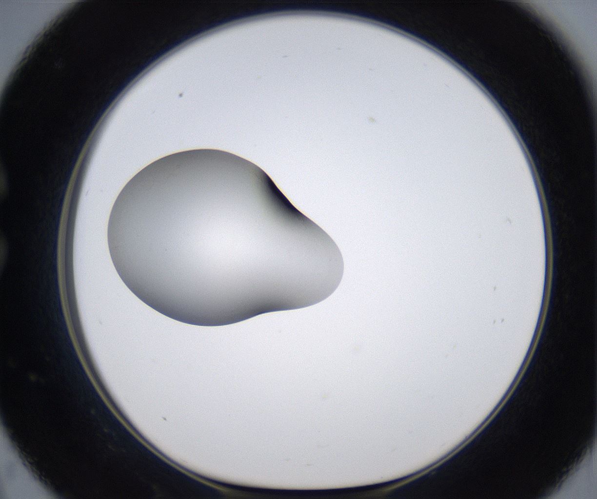 folderID345_plateID2345_batchID11061_wellNum33_profileID1_d1_r165251_ef.jpg