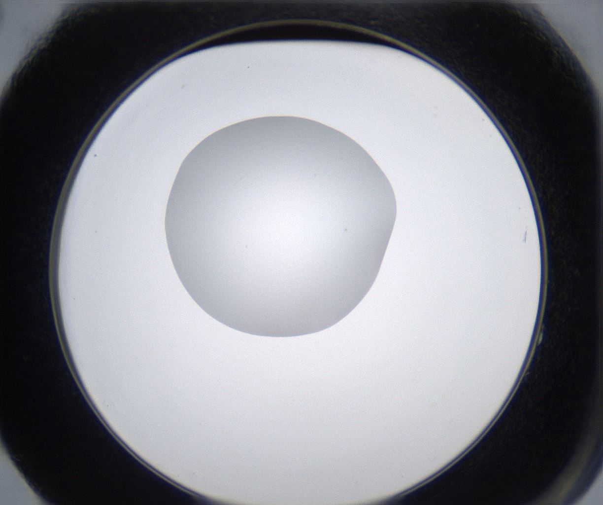 folderID345_plateID2345_batchID11061_wellNum64_profileID1_d2_r165314_ef.jpg