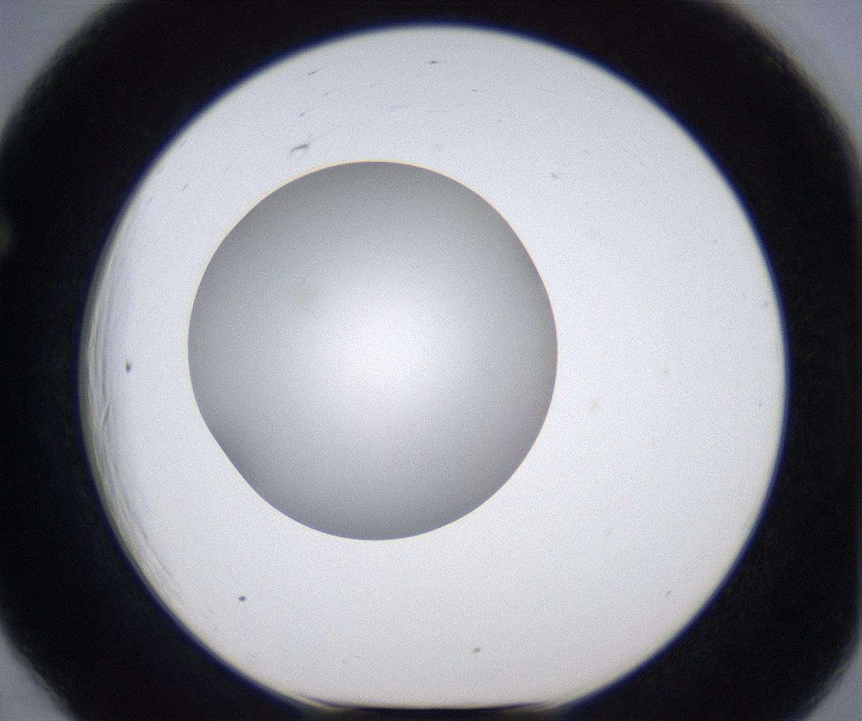 folderID345_plateID2345_batchID11061_wellNum66_profileID1_d1_r165317_ef.jpg