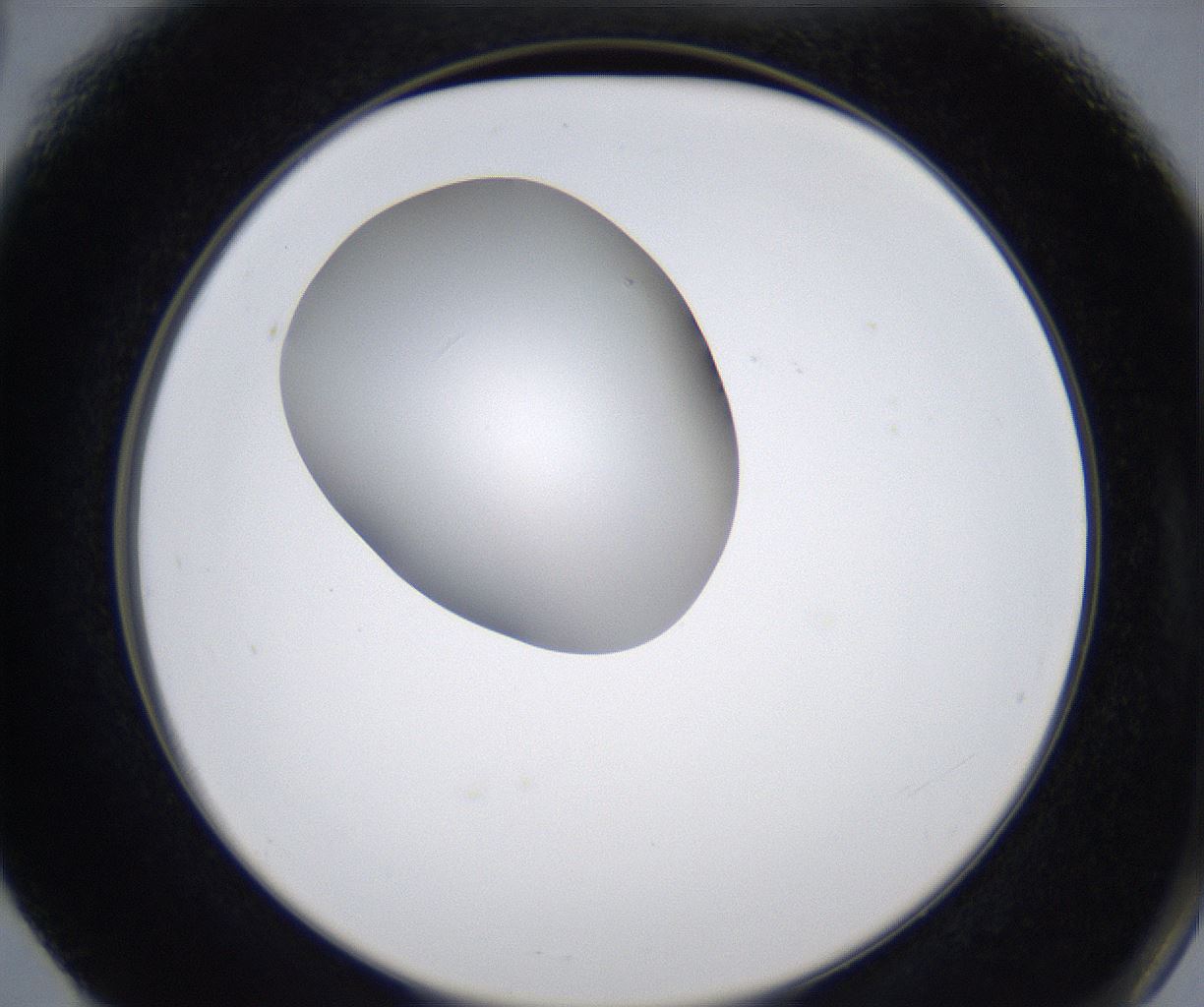 folderID345_plateID2345_batchID11061_wellNum66_profileID1_d2_r165318_ef.jpg