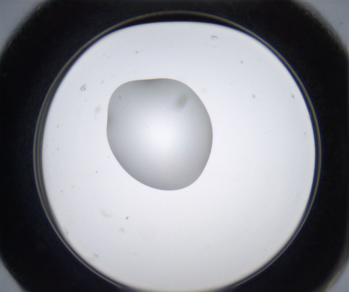 folderID345_plateID2345_batchID11061_wellNum67_profileID1_d2_r165320_ef.jpg