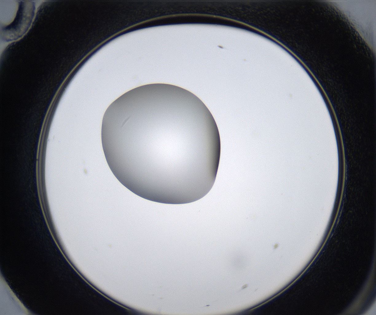 folderID345_plateID2345_batchID11061_wellNum70_profileID1_d2_r165326_ef.jpg