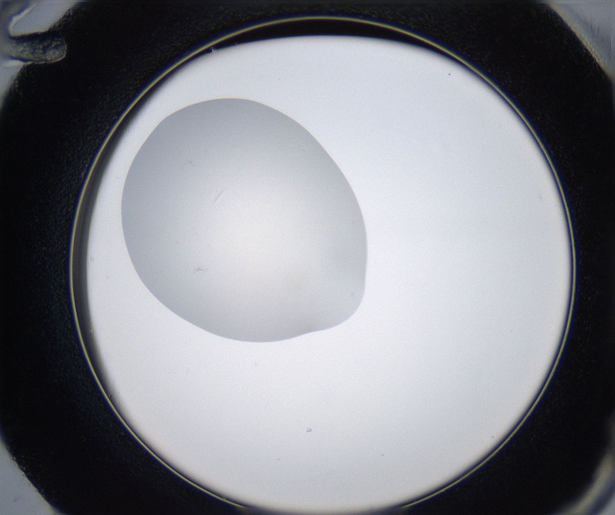 folderID345_plateID2345_batchID11061_wellNum72_profileID1_d2_r165330_ef.jpg