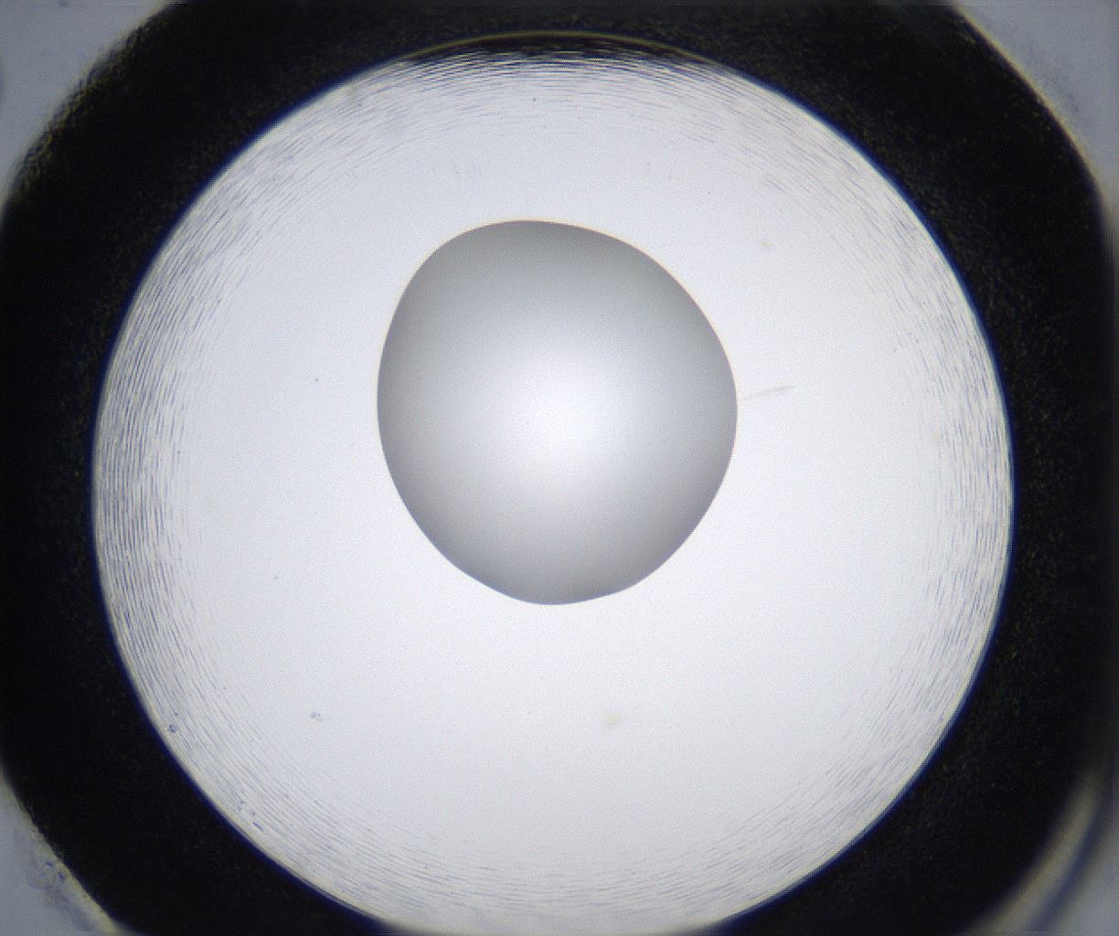 folderID345_plateID2345_batchID11061_wellNum86_profileID1_d2_r165358_ef.jpg