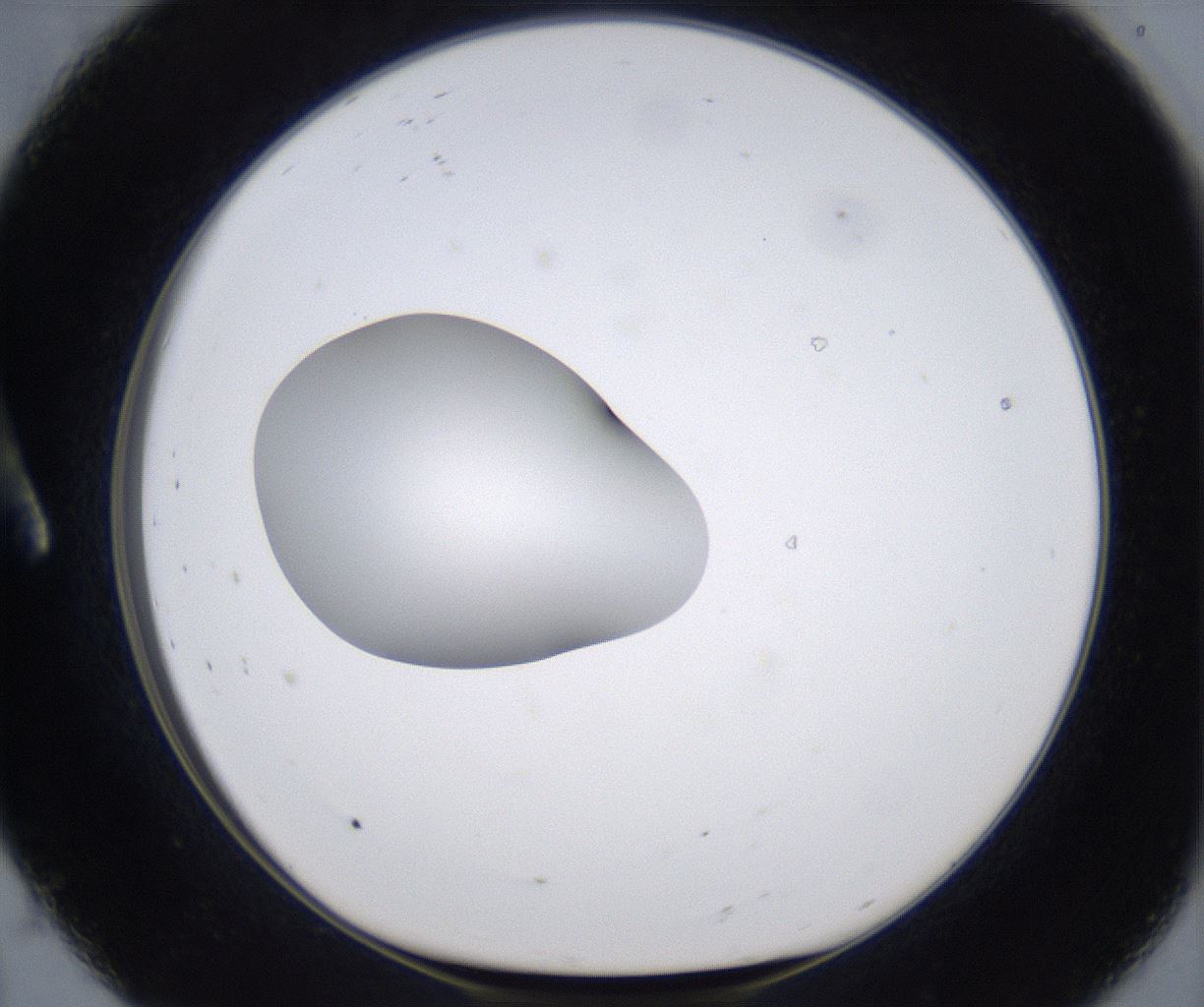folderID345_plateID2345_batchID11061_wellNum8_profileID1_d1_r165201_ef.jpg