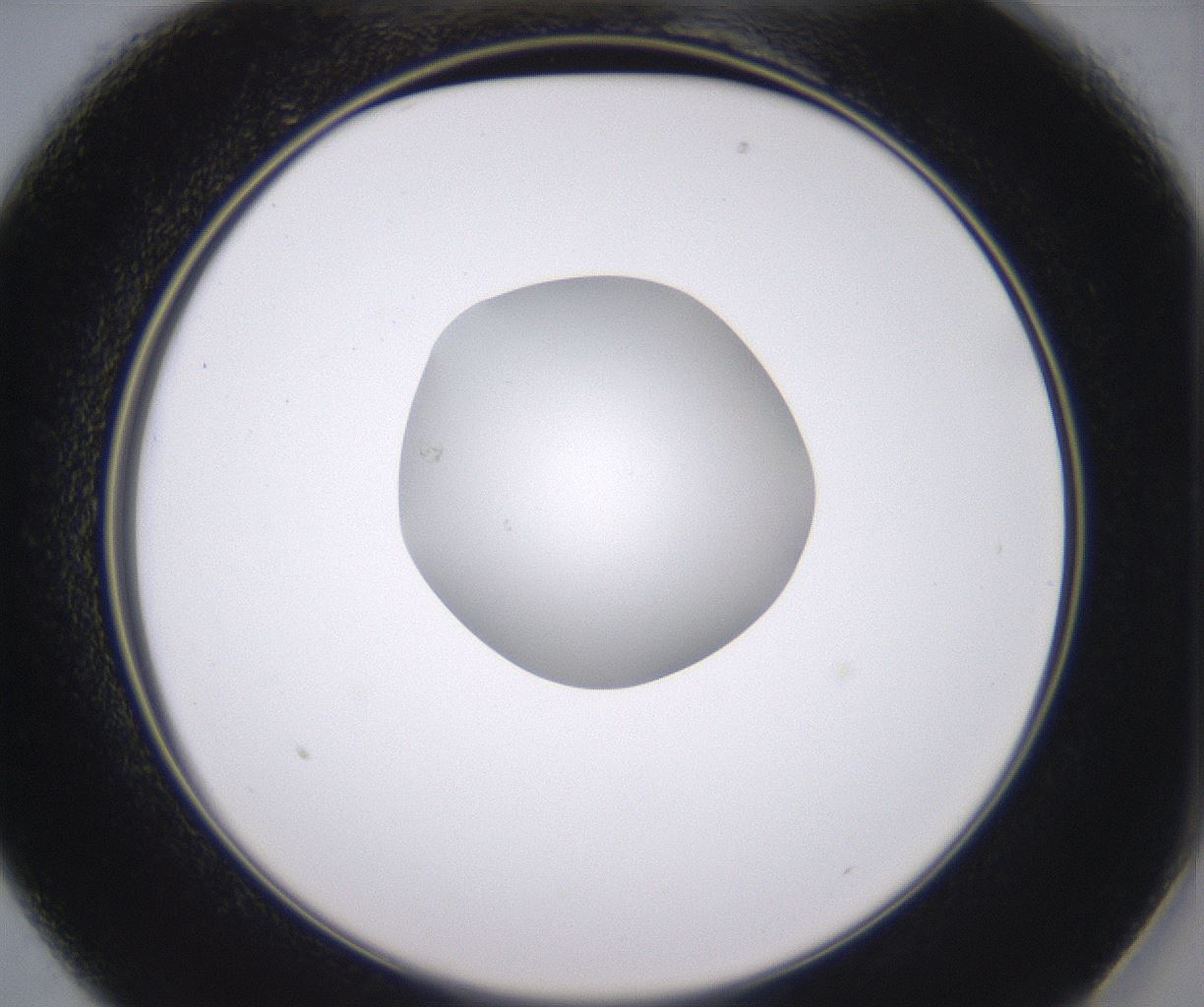 folderID346_plateID2346_batchID11064_wellNum13_profileID1_d2_r166172_ef.jpg