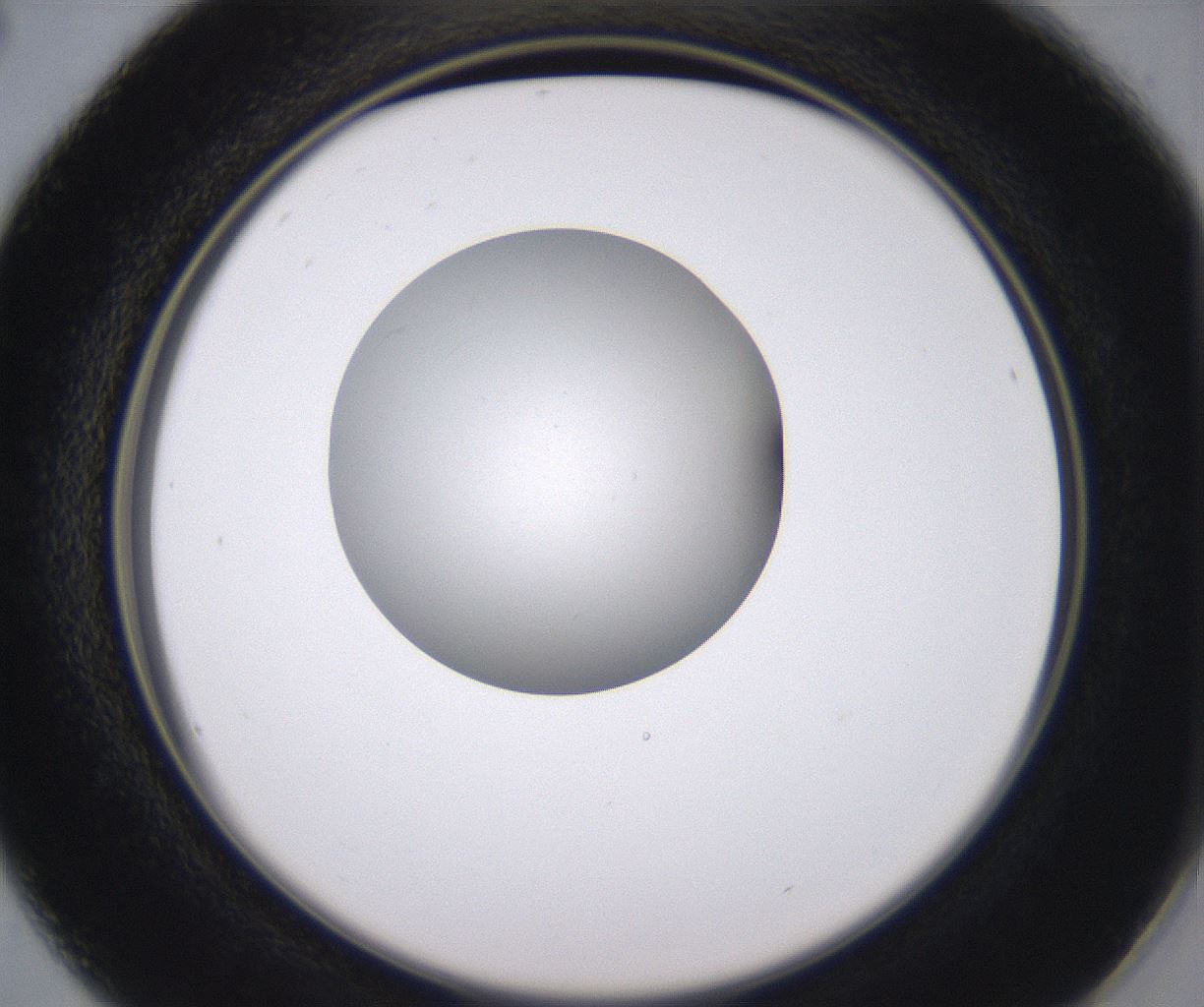 folderID346_plateID2346_batchID11064_wellNum16_profileID1_d2_r166178_ef.jpg