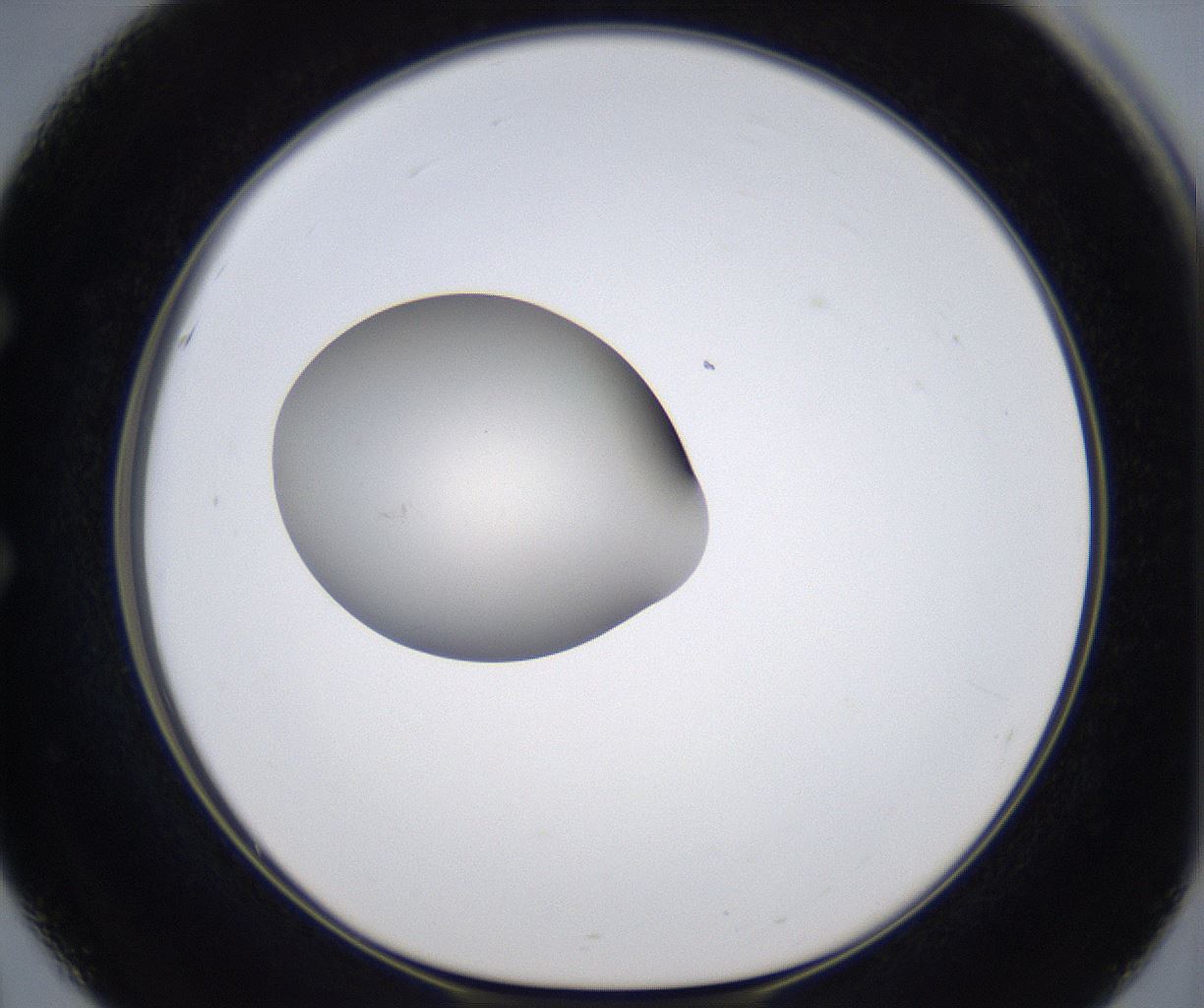 folderID345_plateID2345_batchID11061_wellNum51_profileID1_d1_r165287_ef.jpg