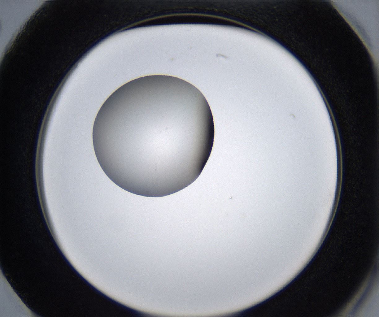 folderID345_plateID2345_batchID11061_wellNum74_profileID1_d2_r165334_ef.jpg