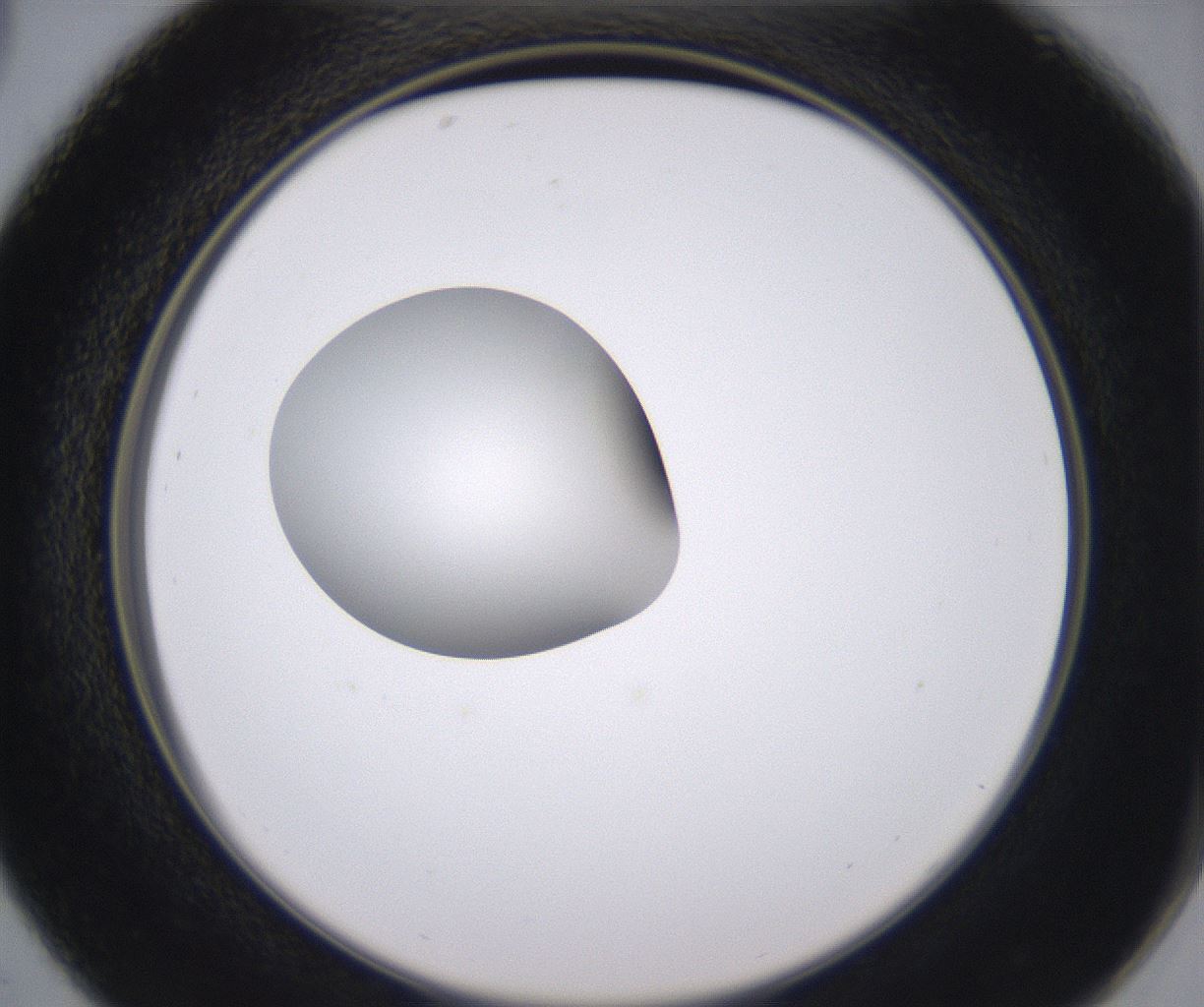 folderID346_plateID2346_batchID11064_wellNum29_profileID1_d2_r166204_ef.jpg