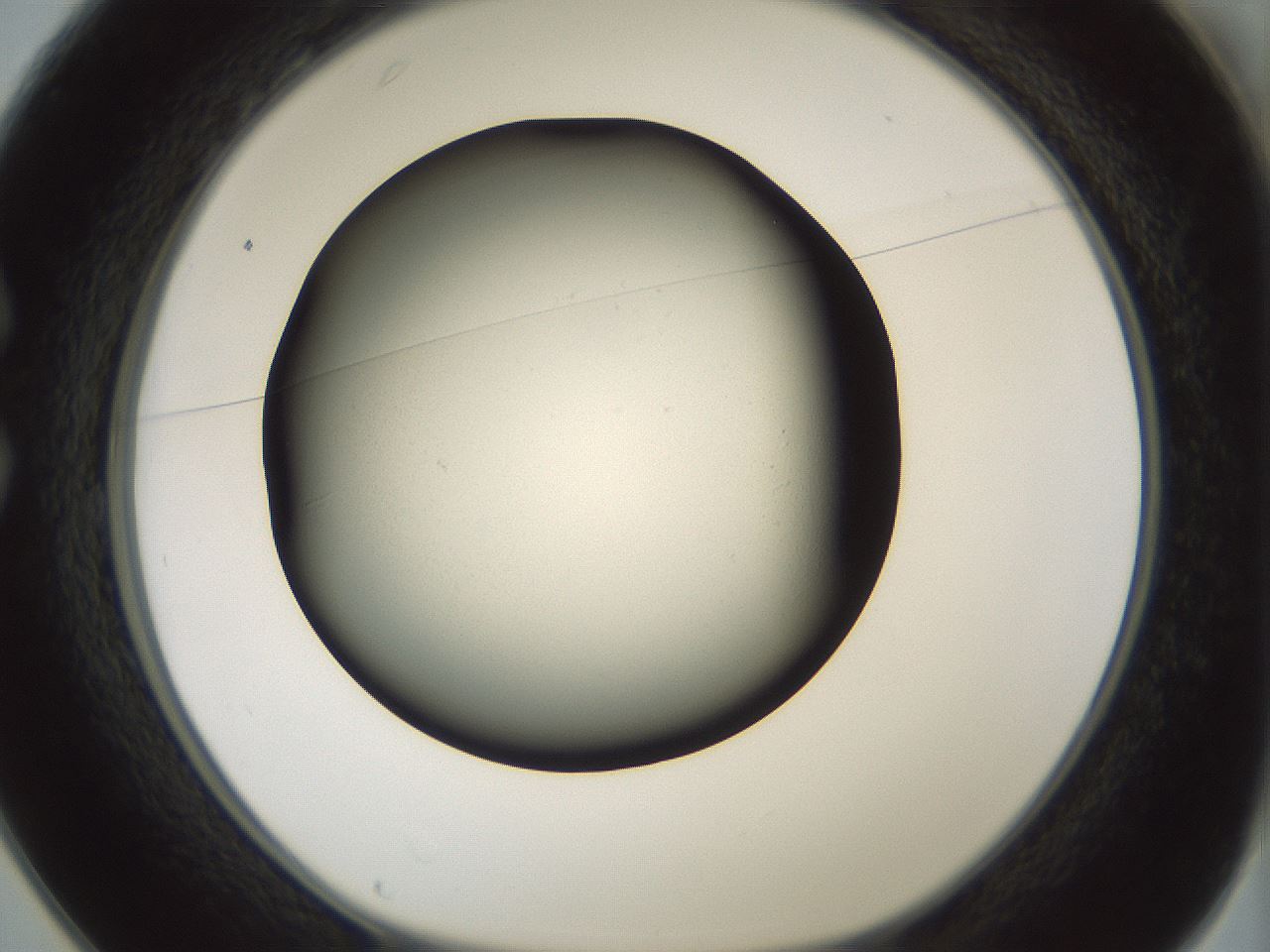 folderID347_plateID1347_batchID4702_wellNum25_profileID1_d1_r81252_ef.jpg