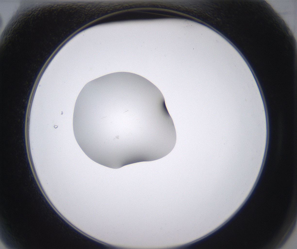 folderID346_plateID2346_batchID11064_wellNum2_profileID1_d2_r166150_ef.jpg