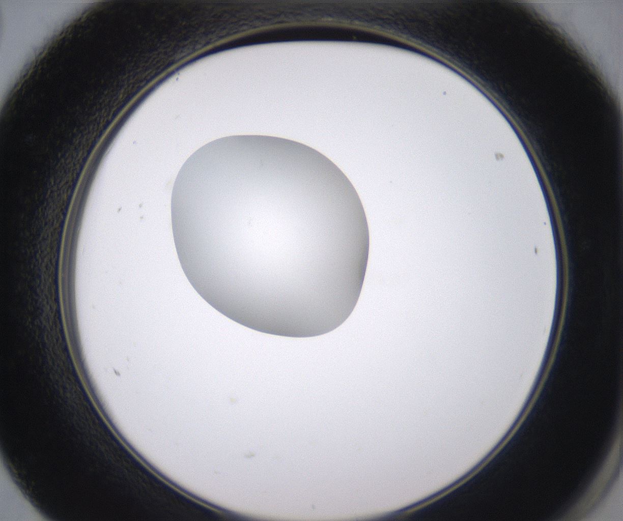 folderID346_plateID2346_batchID11064_wellNum68_profileID1_d2_r166282_ef.jpg