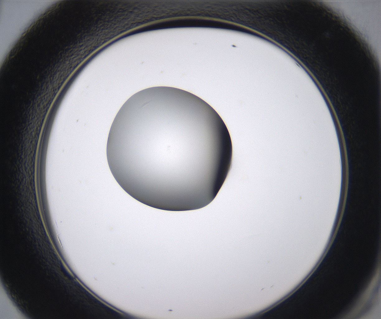 folderID346_plateID2346_batchID11064_wellNum69_profileID1_d2_r166284_ef.jpg