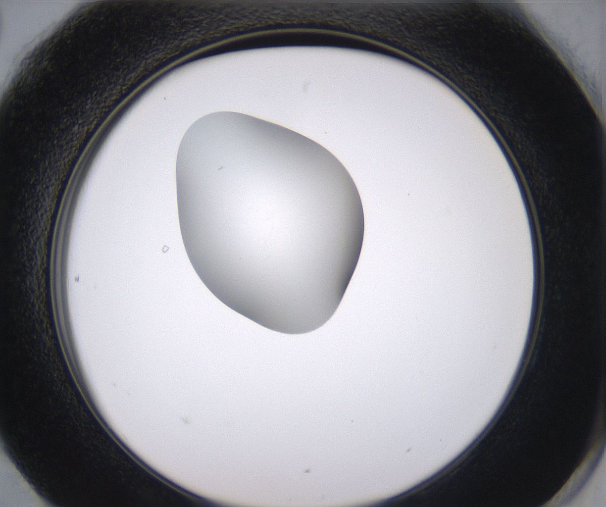folderID346_plateID2346_batchID11064_wellNum90_profileID1_d2_r166326_ef.jpg