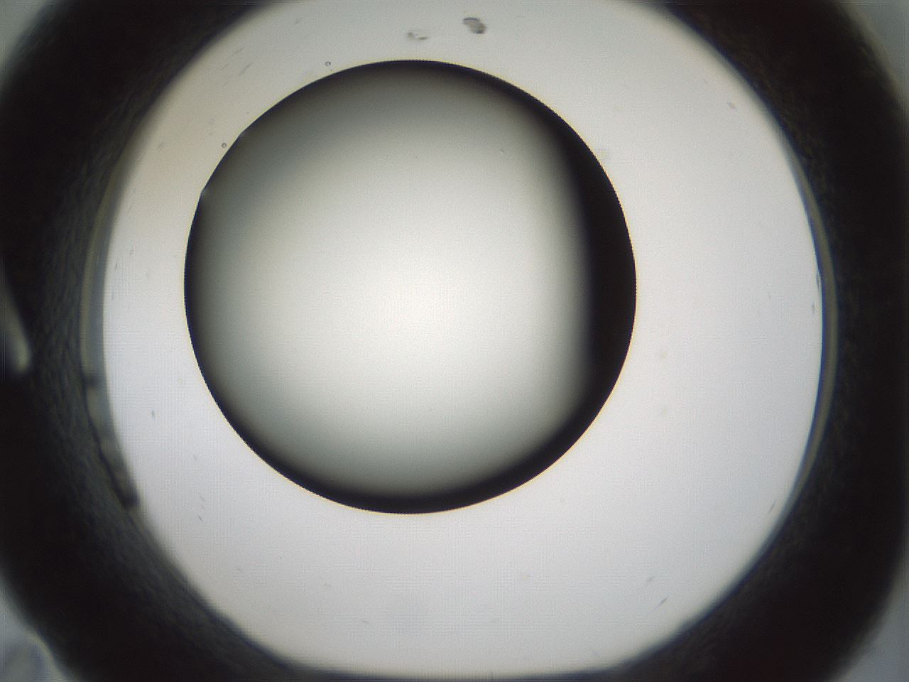 folderID347_plateID1347_batchID4702_wellNum11_profileID1_d1_r81238_ef.jpg