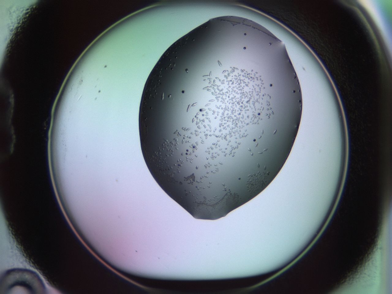 02kh_B10_ImagerDefaults_9.jpg