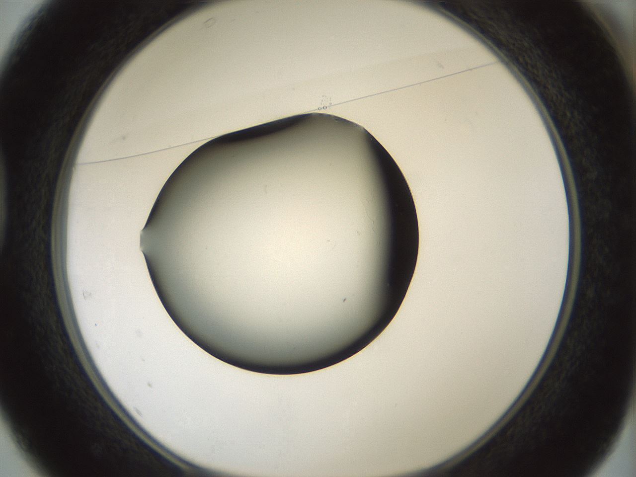 folderID347_plateID1347_batchID4702_wellNum37_profileID1_d1_r81264_ef.jpg