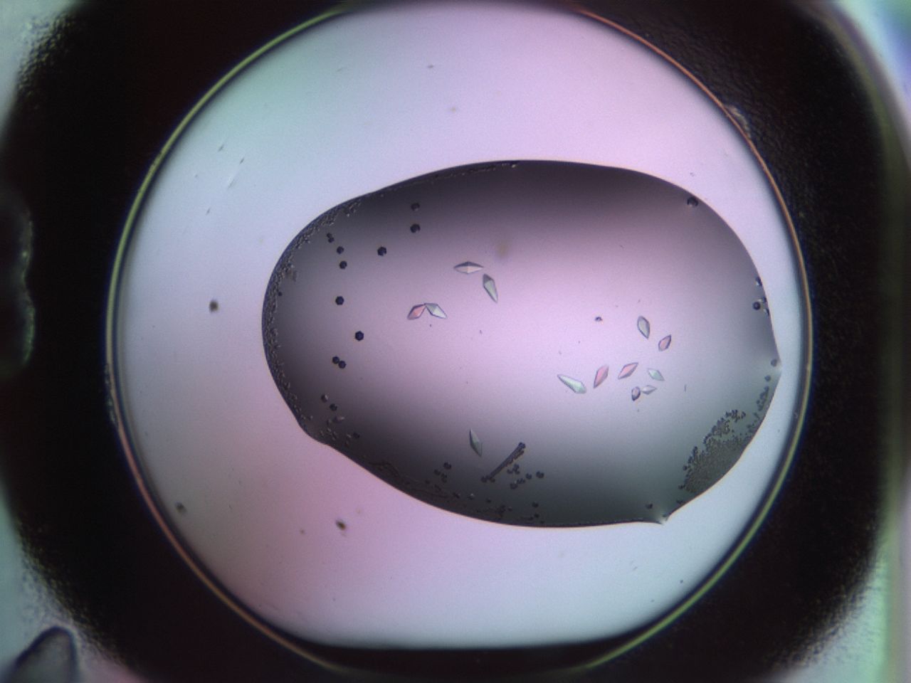 02kh_B11_ImagerDefaults_9.jpg