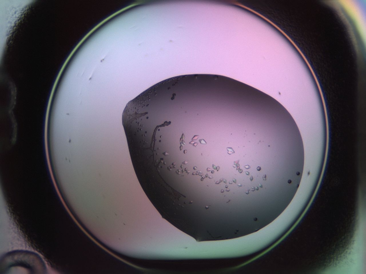 02kh_B12_ImagerDefaults_9.jpg