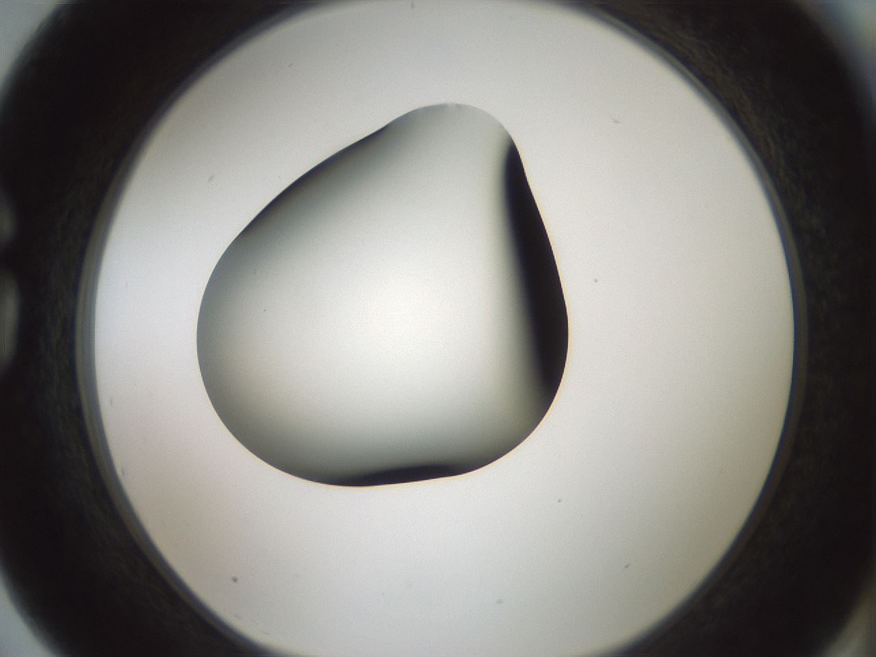 folderID347_plateID1347_batchID4702_wellNum75_profileID1_d1_r81302_ef.jpg