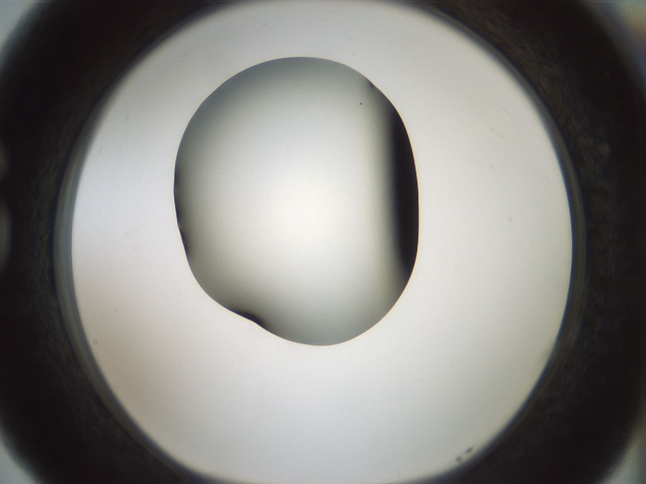 folderID347_plateID1347_batchID4702_wellNum77_profileID1_d1_r81304_ef.jpg