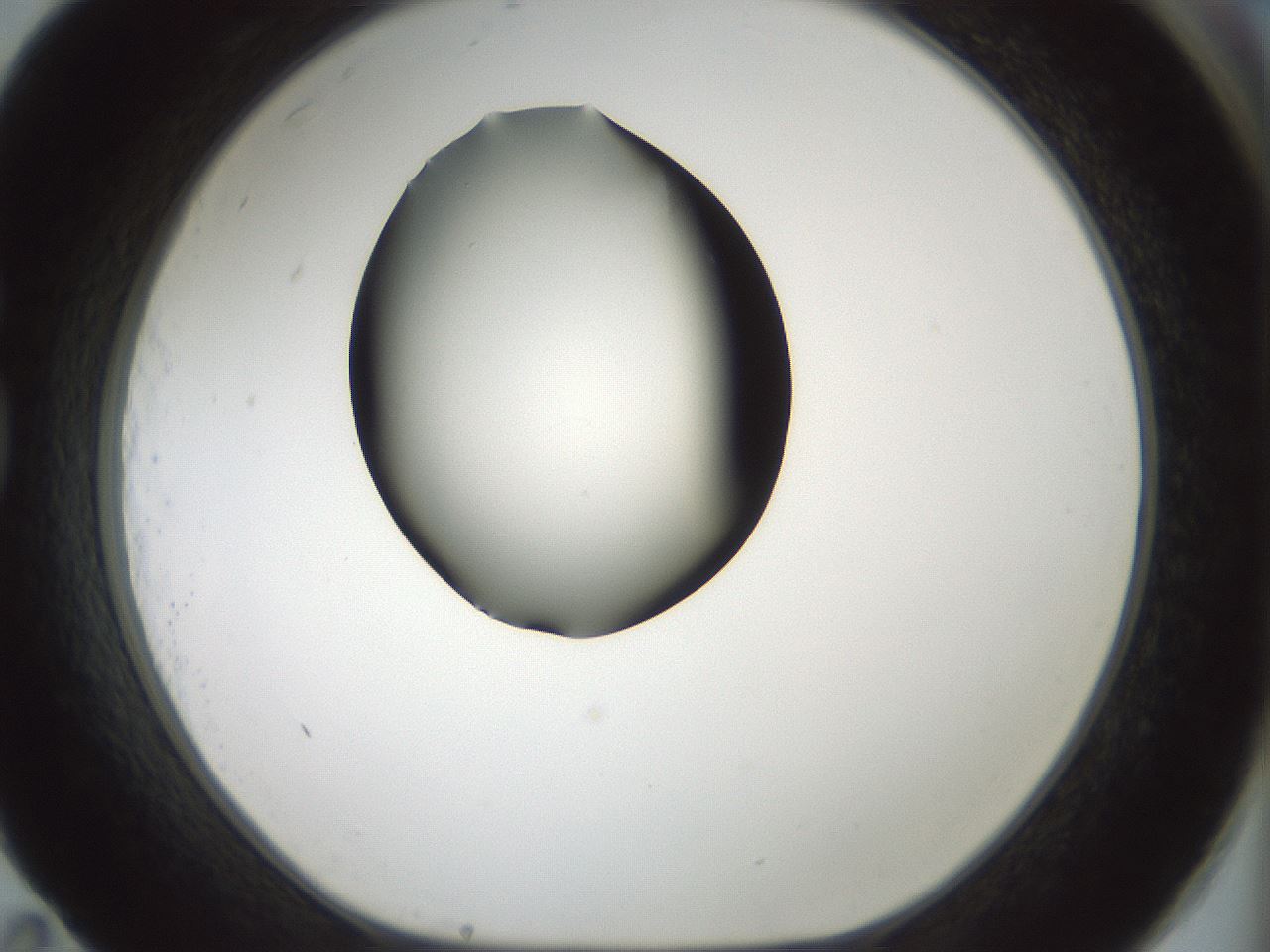 folderID347_plateID1347_batchID4702_wellNum83_profileID1_d1_r81310_ef.jpg