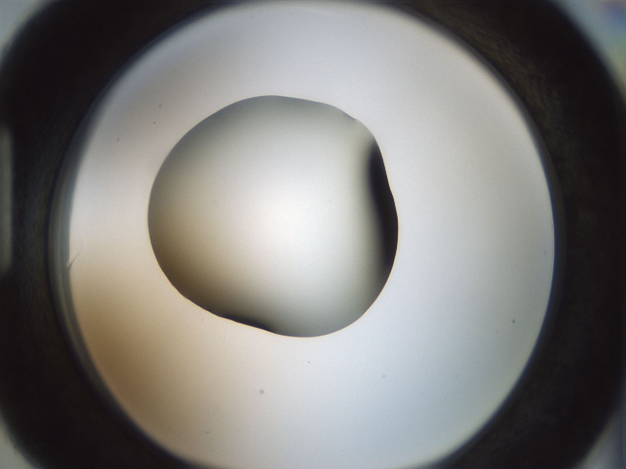 folderID347_plateID1347_batchID4702_wellNum90_profileID1_d1_r81317_ef.jpg